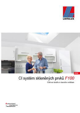 Střešní okna F100